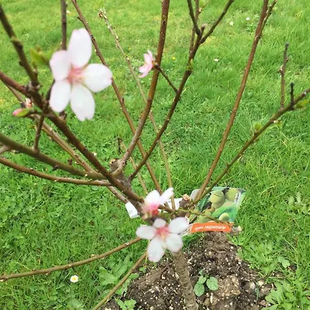 Au Mas Retz De Jade Chauvé