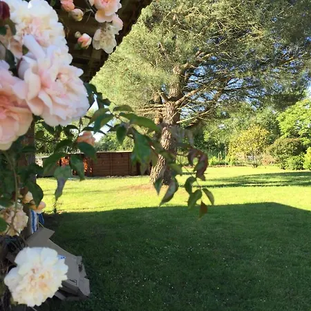 לינה וארוחת בוקר Au Mas Retz De Jade