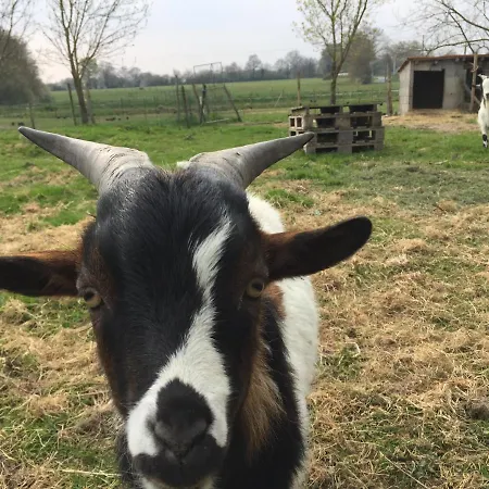 לינה וארוחת בוקר Au Mas Retz De Jade