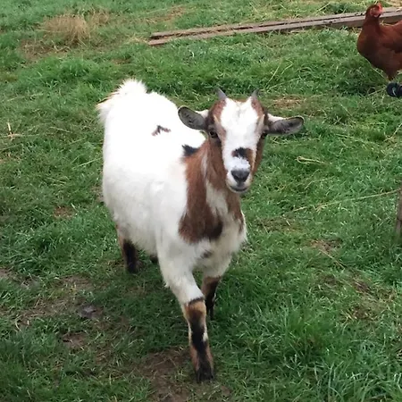 Au Mas Retz De Jade לינה וארוחת בוקר 3*