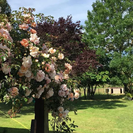 Au Mas Retz De Jade 3* Chauvé