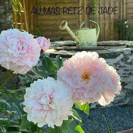 לינה וארוחת בוקר Au Mas Retz De Jade Chauvé