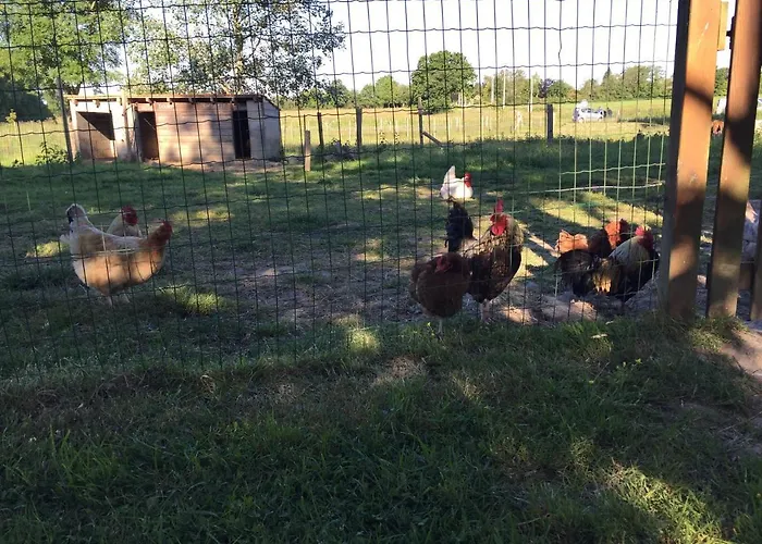 B&B Au Mas Retz De Jade Chauvé