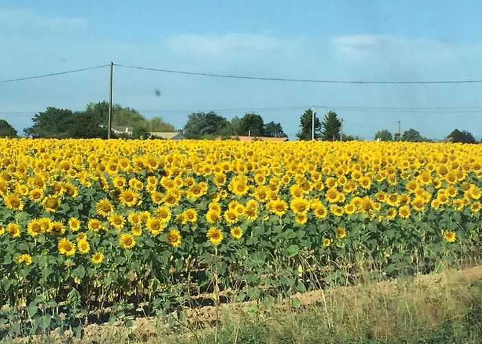 Au Mas Retz De Jade B&B