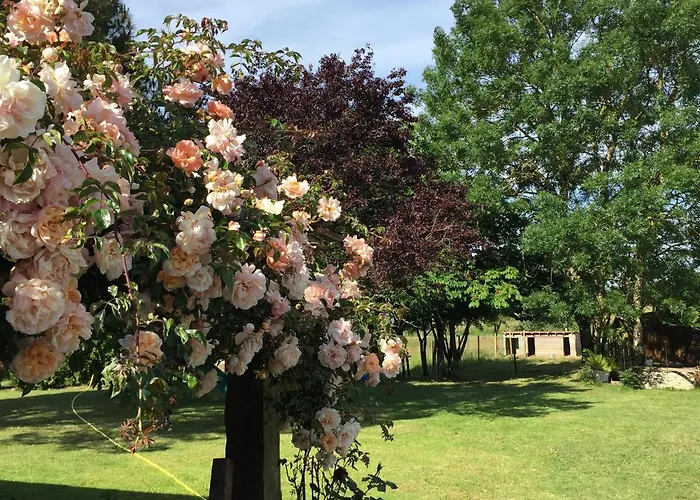 Au Mas Retz De Jade 3* Chauvé